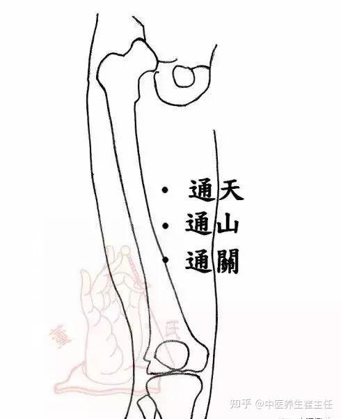 董氏奇穴精髓精华集锦