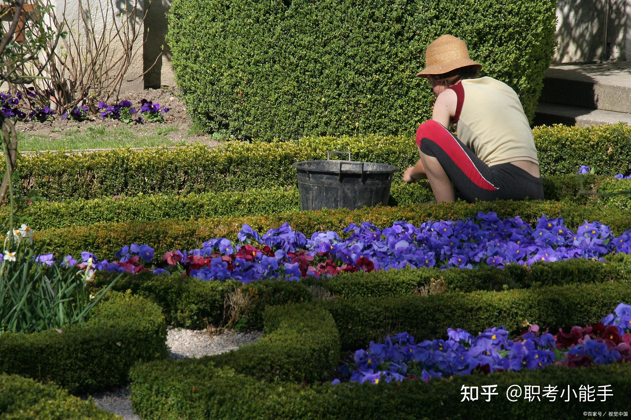 园艺师证书报考流程如何？证书报考需要多少钱？职业前景如何？ 知乎 