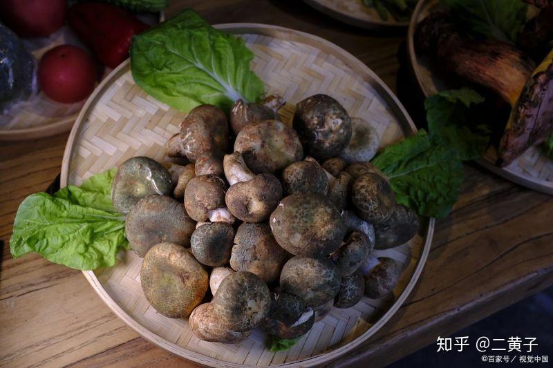 食用野生菌可能会导致中毒,一般多久之后会有中毒反应?