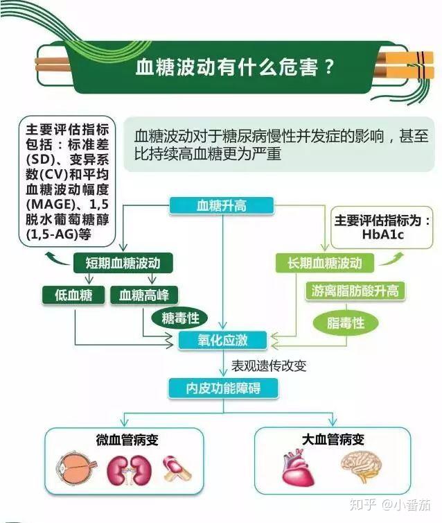 关于血糖波动管理的专家共识┃番茄关注