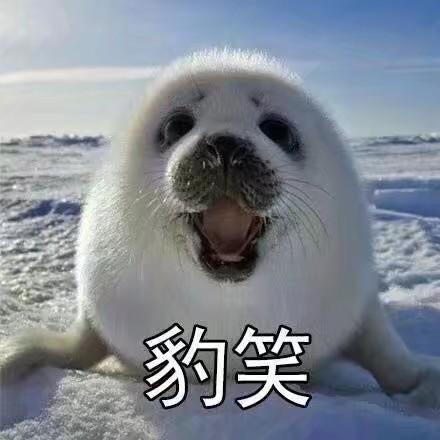 有哪些非常搞笑的动物表情包?