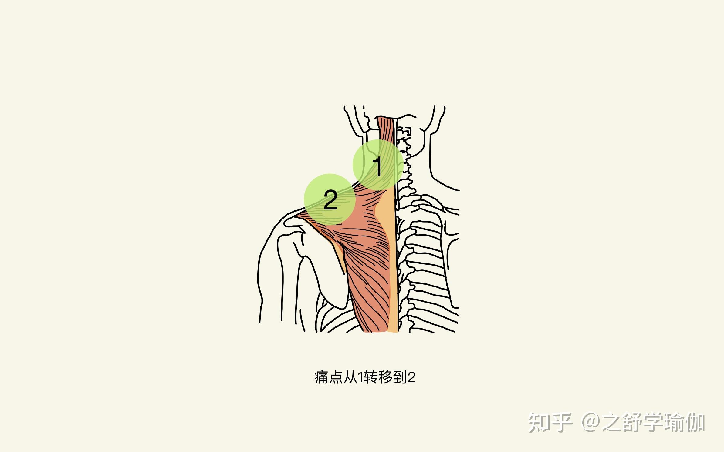 【10分钟肩颈放松瑜伽】办公族学生党自救拉伸！原地快速缓解肩颈疲惫| Yu... - 哔哩哔哩