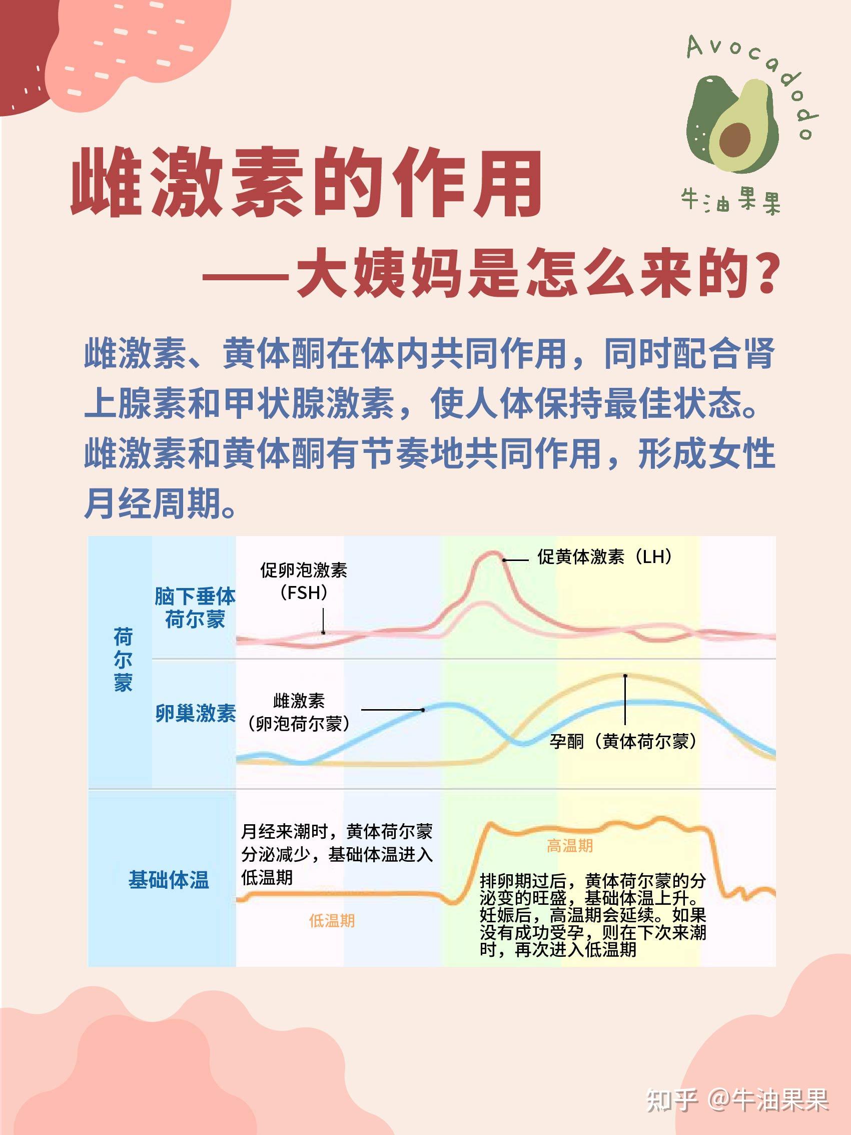 果果知识点omg雌激素高诱发桥本甲状腺炎