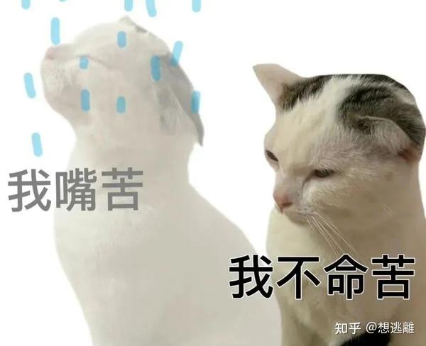 分享一波很内向表情包合集 困的发疯表情包 赶快收藏起来! - 知乎