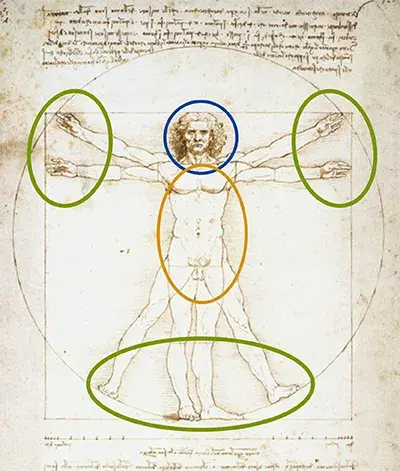 日本留学 你想学的早大三大理工学部到底是什么 知乎
