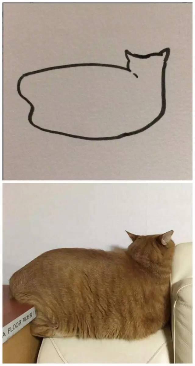 Плохой рисунок кота