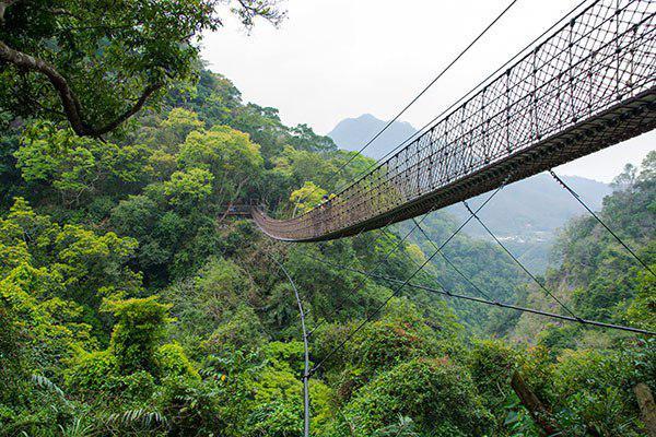 臺灣旅遊景點全攻略漫步雲端│挑戰高度視野桃園小烏來天空步道