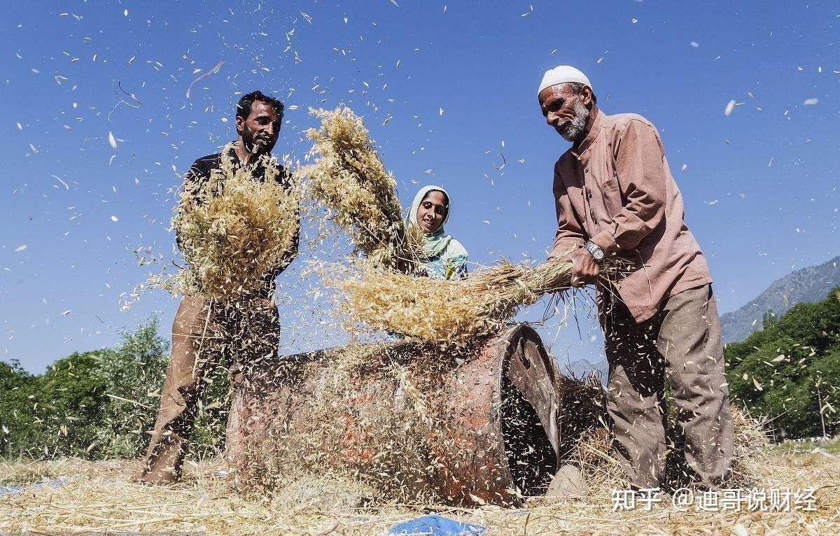 67粮食生产率不足中国50为何印度能大量出口我国却满世界买粮