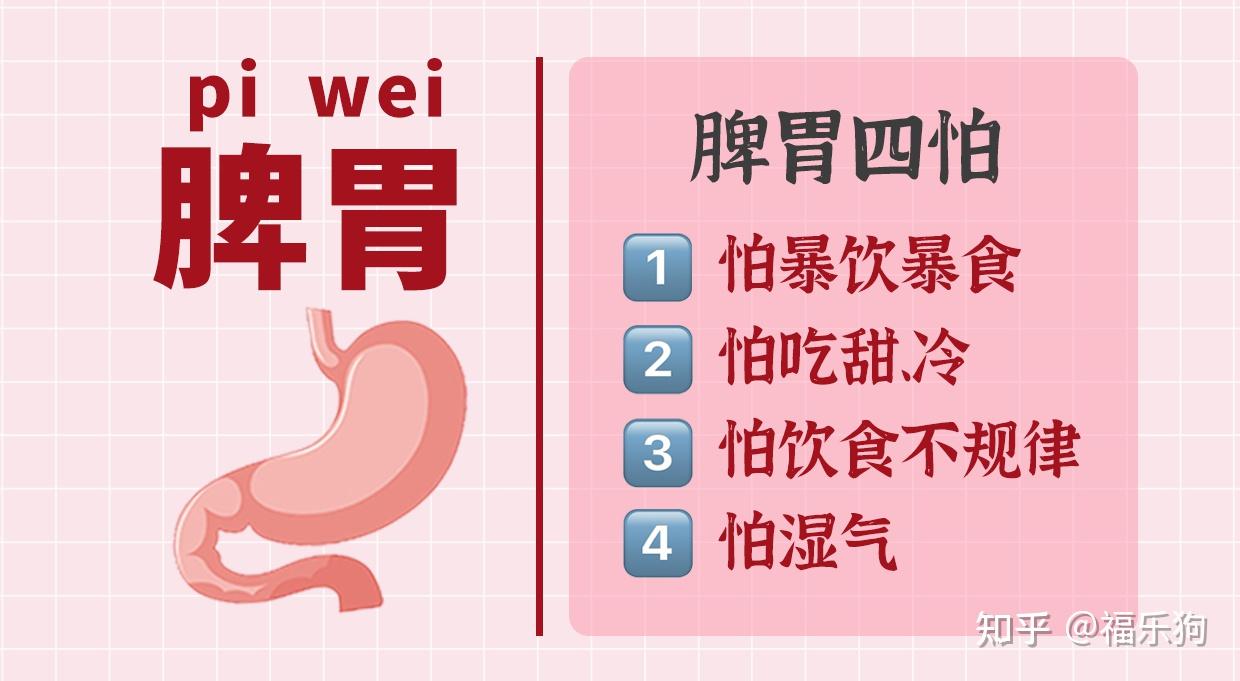 兼有解毒,消炎的功效;红薯—可补脾胃补气力,有助于脾胃消化代谢