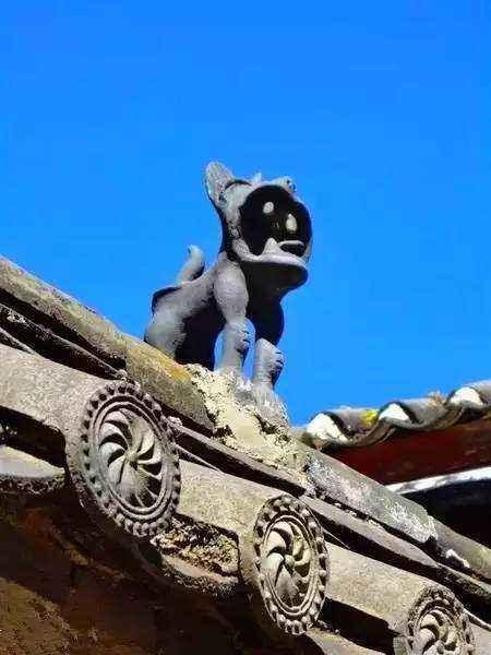 瓦猫在丽江你可能一不小心就错过的风景