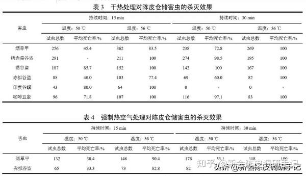 大战三百回合 损失1000斤新会陈皮 他最后还是败给一群 虫子 知乎