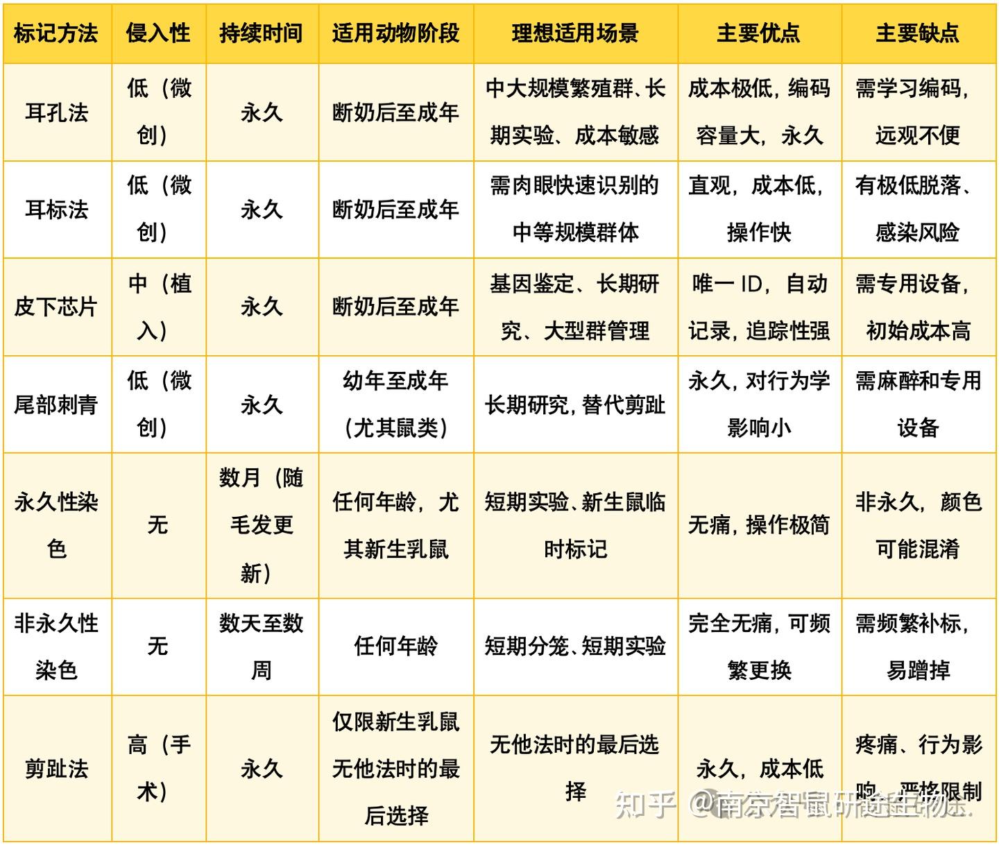 智鼠课堂 | 三种实验鼠标记方法及其编号规则