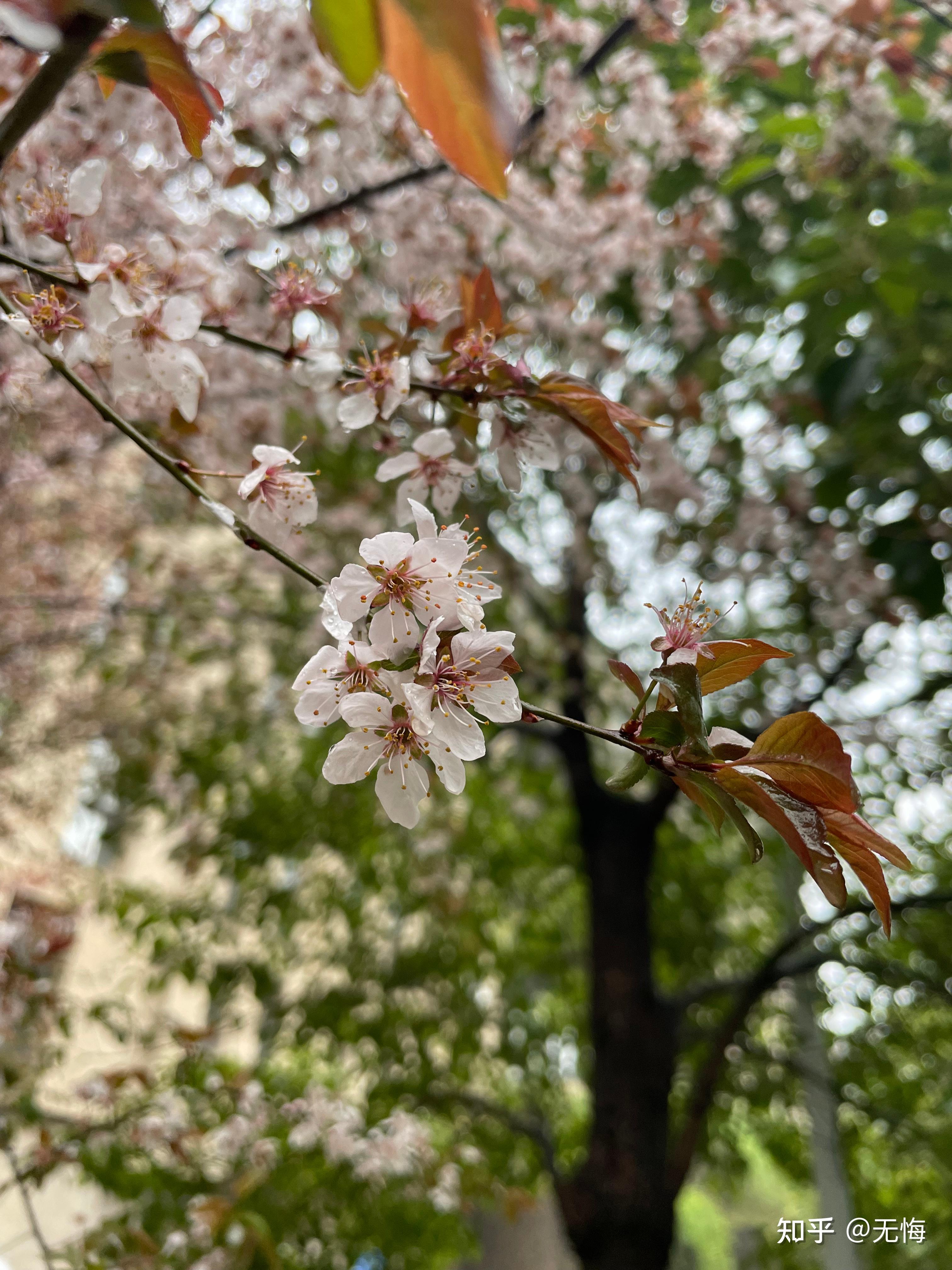 湖大生活怎么样