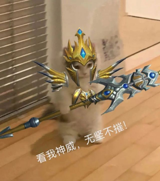 你都有哪些英雄联盟魔法猫咪的表情包