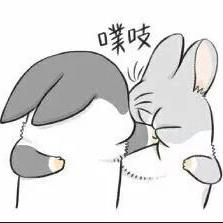 Andy Xin