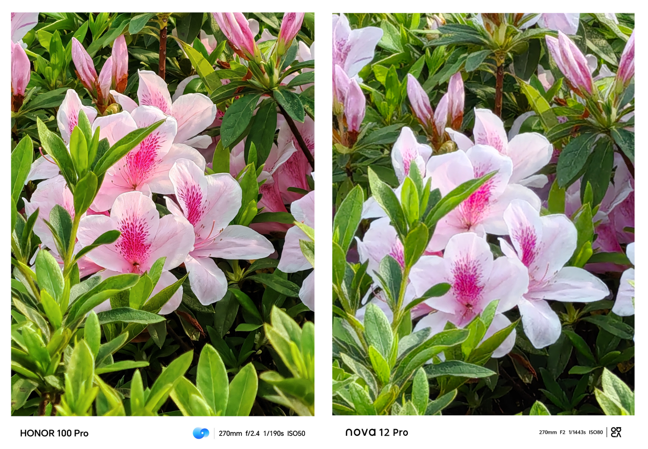 3000到4000档位荣耀100pro和华为nova12pro实际表现如何该怎么选