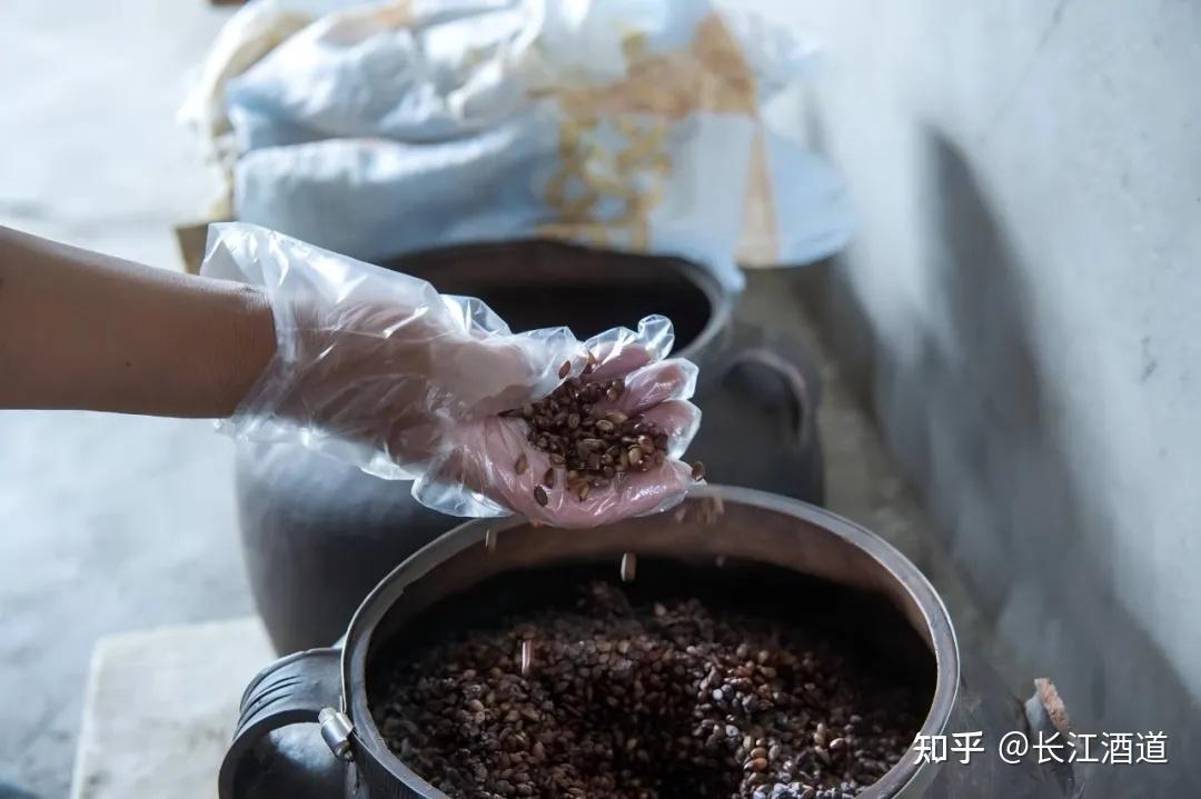 西藏拉萨|醇香青稞酒焕发新生的光彩之地 - 知乎