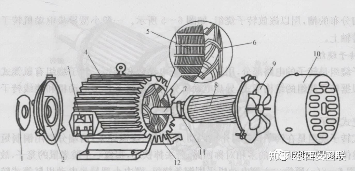 三相电动机内部结构图片