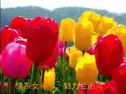 19年北京3月赏花攻略 知乎