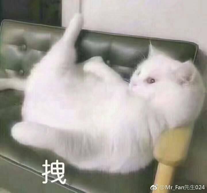 你们是怎么考上985的,每科多少分?