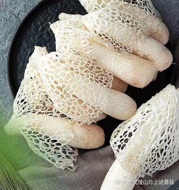 【武陵山珍】饭桌上的高颜值高品质—竹荪 - 知乎
