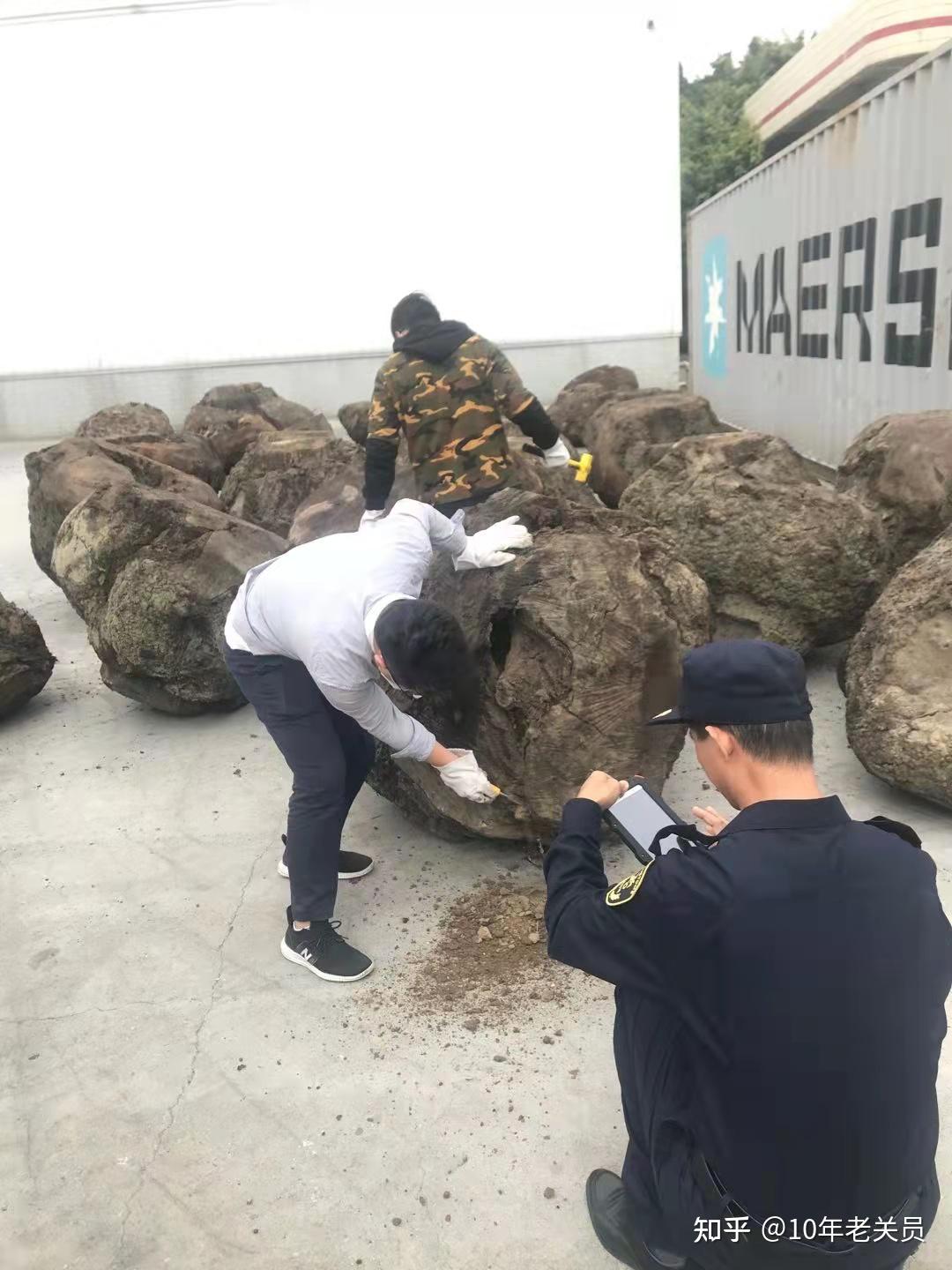 中国黑胡桃木市场细分有几个板块,一种是原木加工类;一种是黑胡桃木