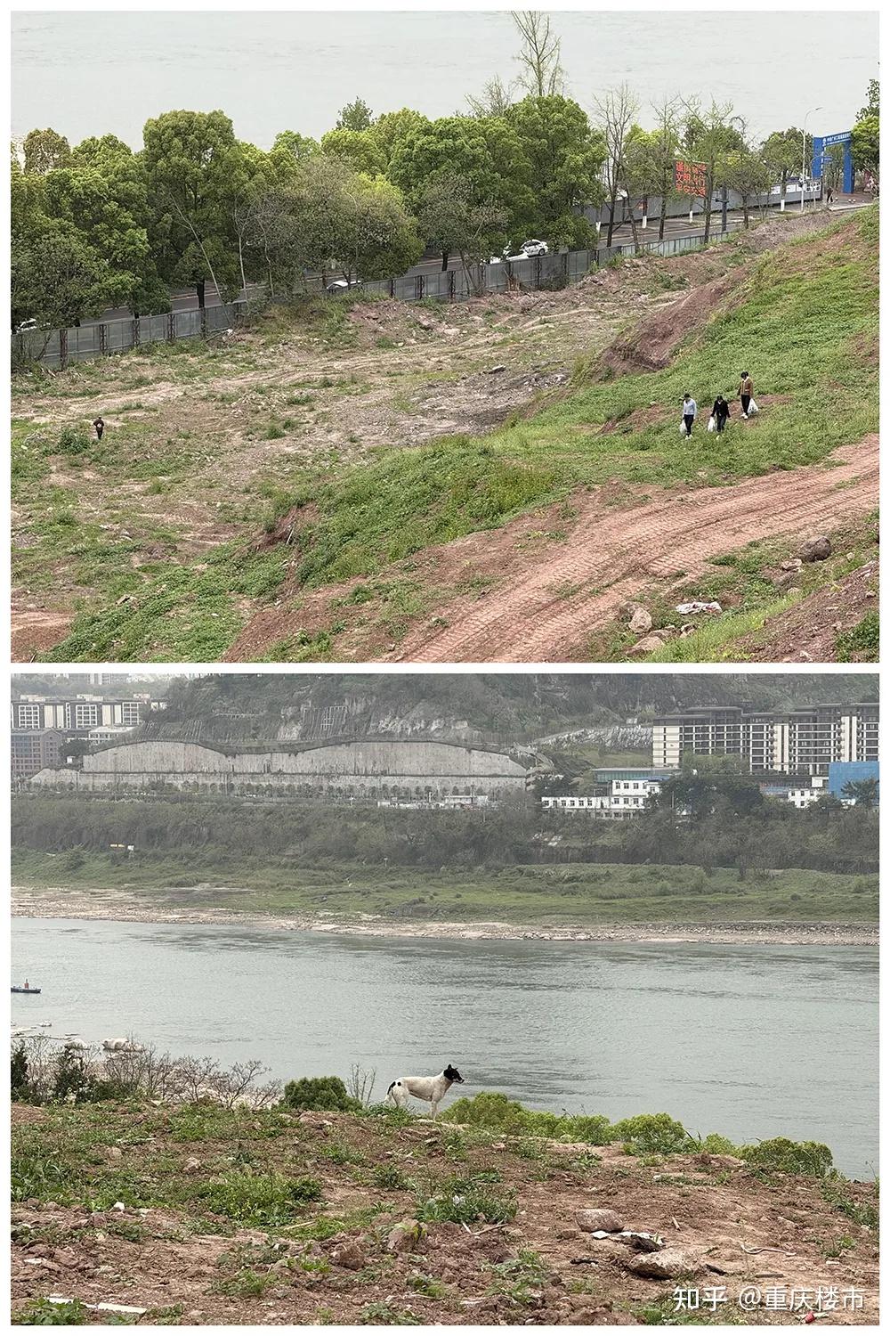 唏嘘！重庆巴滨路大型商业开发多年仍是荒地，能否等来曙光？ - 知乎
