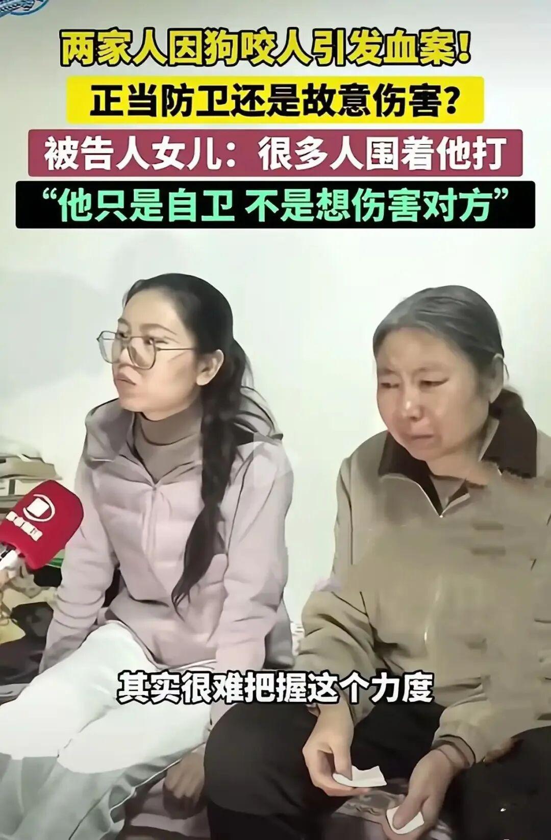 狗咬人被摔死狗主人上门被反杀案件已经开庭了