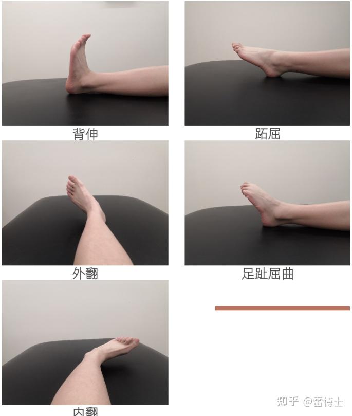 四,踝关节损伤康复训练