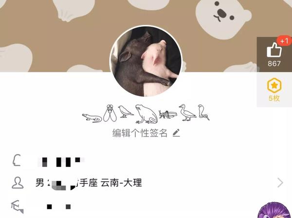 qq可以换动物表情昵称了快来学