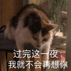 v2-4510b4ccd0372929c67f5b5c8a3eb572_b.jpg