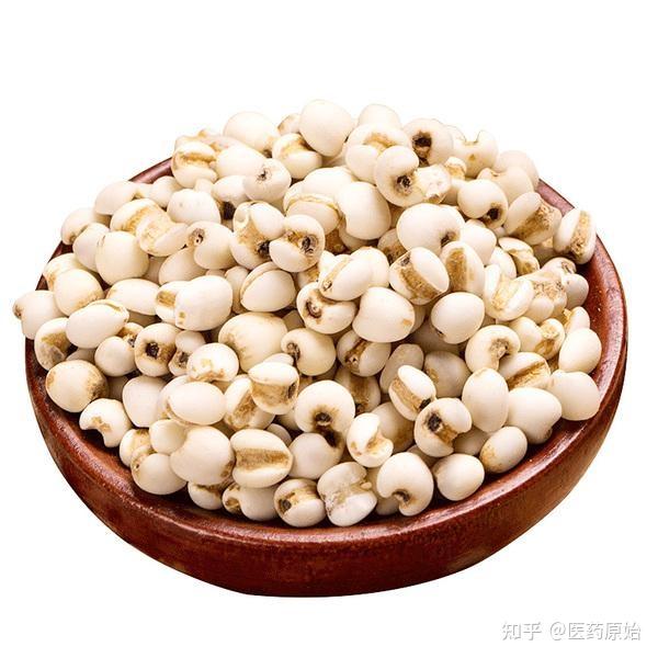 带你识别薏苡仁 - 知乎