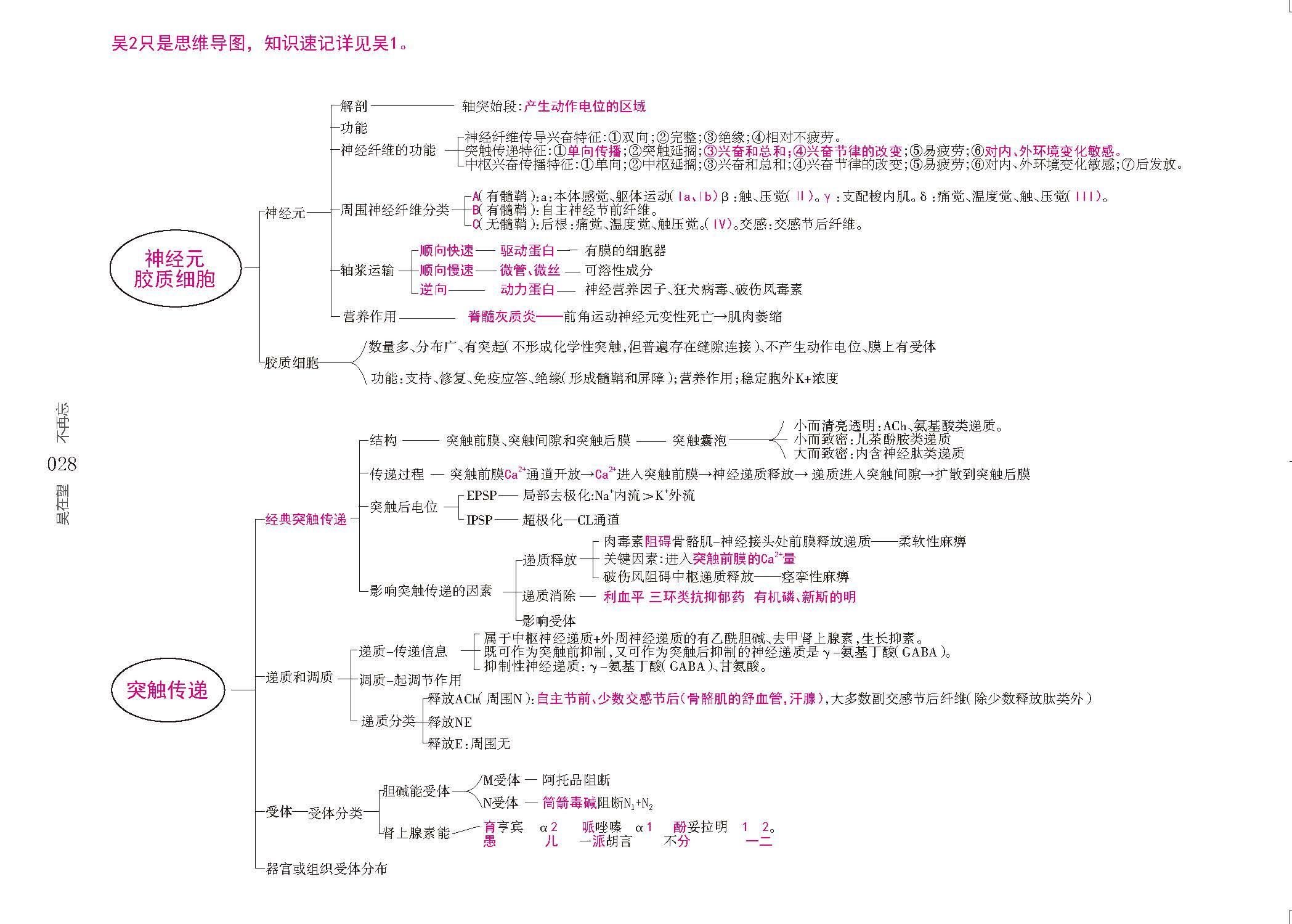v2-4521dc94abd5684fa073b3d446f5c9c2_r.jpg