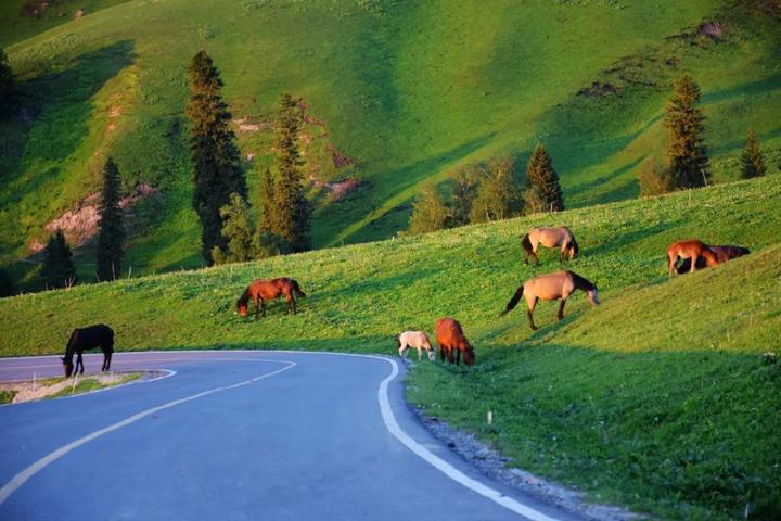 v2-452c3a923faf0eee7a0bb5e6e7a01c01_720w