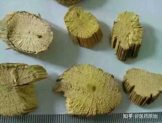 带你识别川木通
