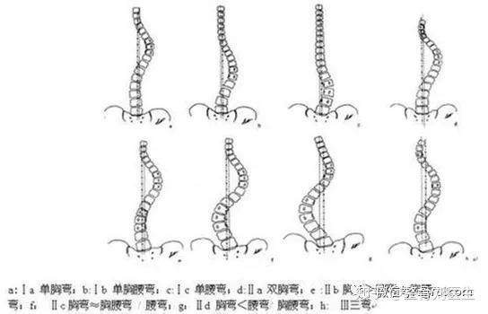 “1点55”——超简单自我复位脊柱胸椎 - 知乎