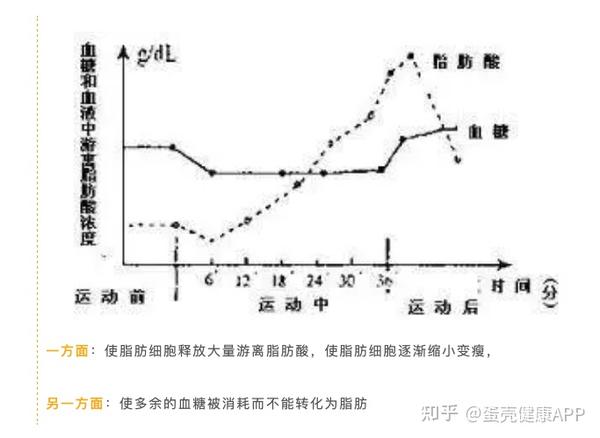跑步如何才能坚持下来 知乎