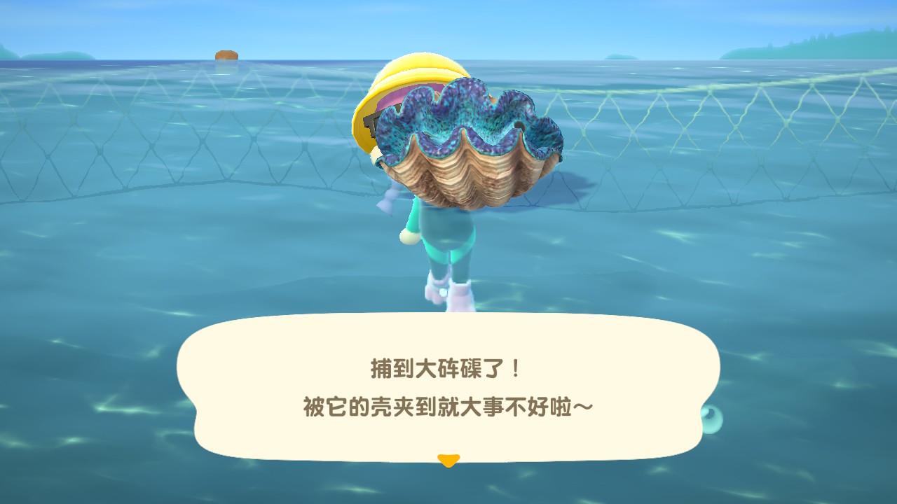 集合啦动物森友会7月份全球海洋生物图鉴与收集心得攻略