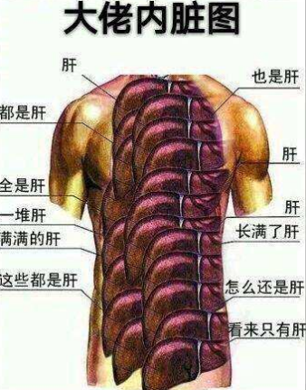 肝帝与欧皇的爱恨情仇当不用努力就得到心爱之物时你会珍惜么