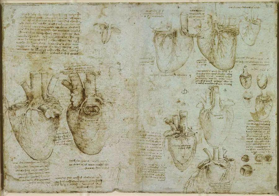 达芬奇逝世500周年这些手稿却还鲜为人知