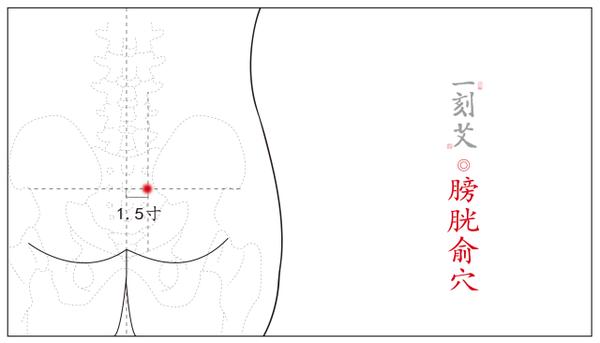 膀胱俞的准确位置图片