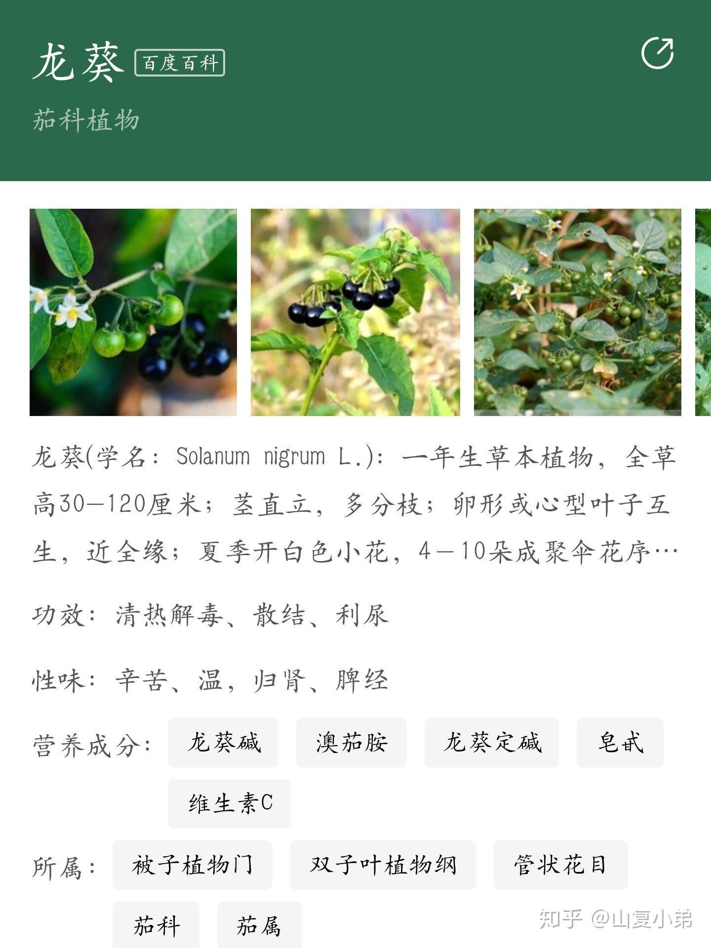 仙剑里的景天,雪见,龙葵,徐长卿,紫萱,重楼,飞蓬.