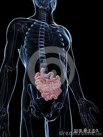 一种拒赔 拒理赔