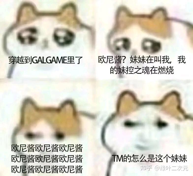 啊,不行了,这猫猫meme图太可爱了 - 知乎