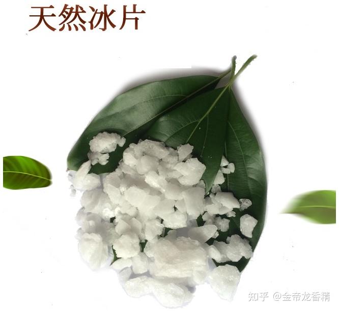 香精与香料(31)—龙脑 - 知乎