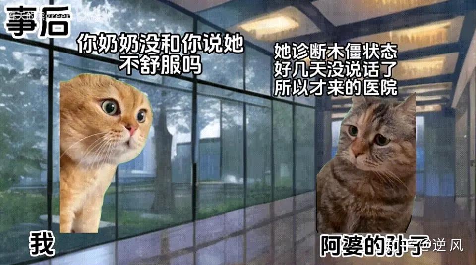 猫meme不仅可以搞笑,还可以做推文赚钱!思路打开了!素材分享! - 知乎