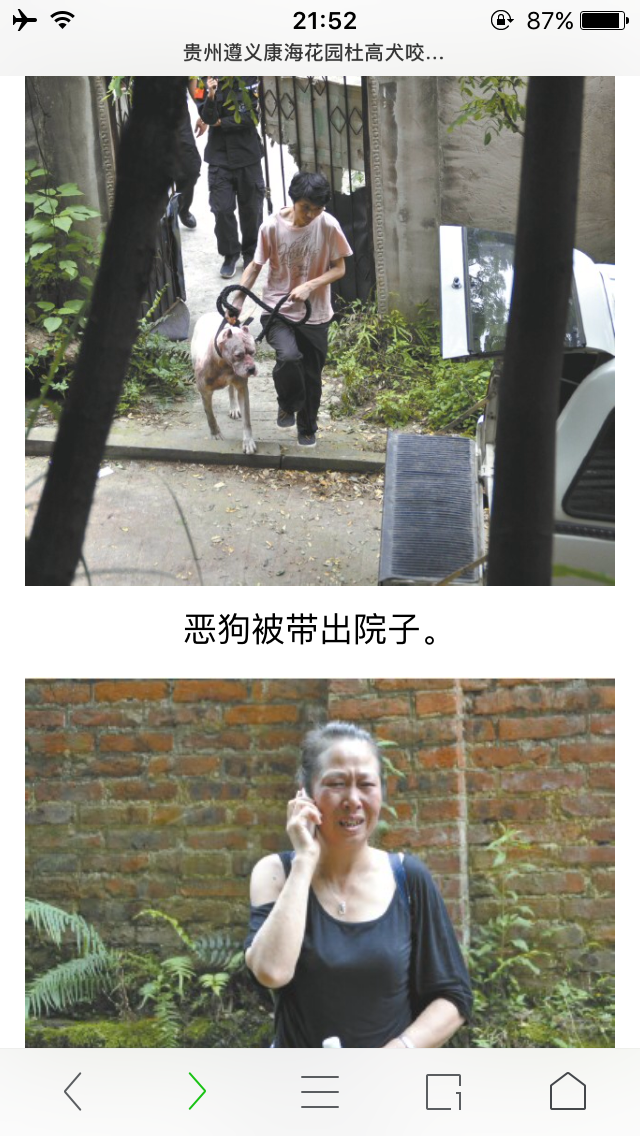 求助,城市养大型犬被举报狗狗被没收怎么办 -