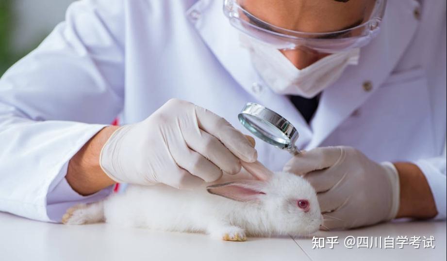 四川农业大学自考本科动物医学专业