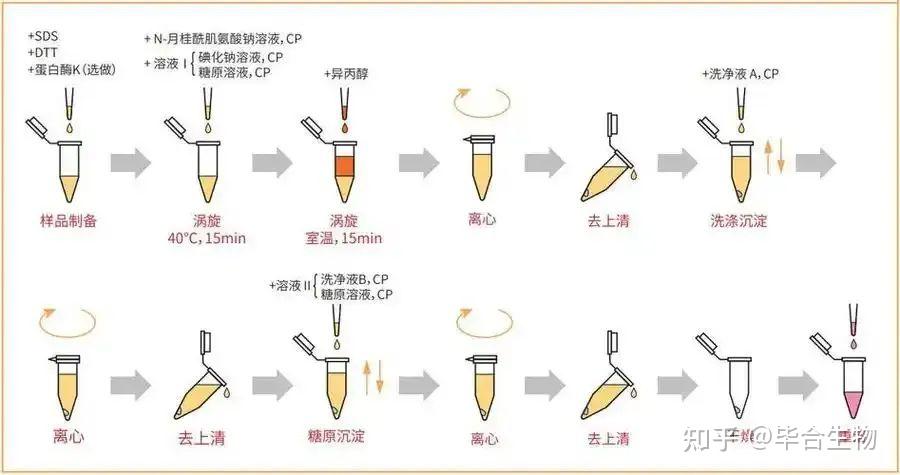 RNA提取大揭秘:方法、优缺点、注意事项全在这啦!🧬 - 知乎