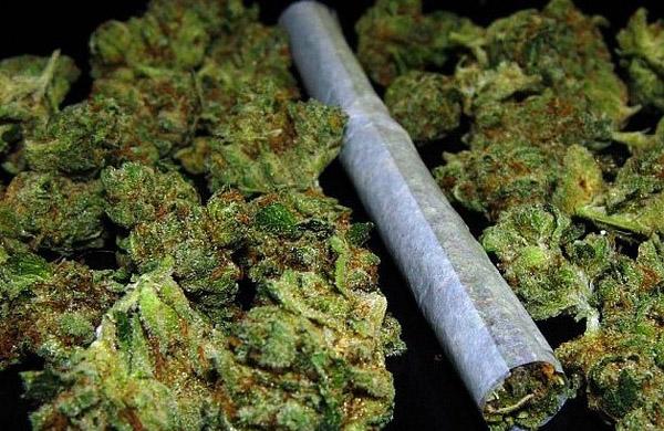 大麻尿检呈阳性的时间要多久 知乎 大麻尿检呈阳性的时间要多久 知乎